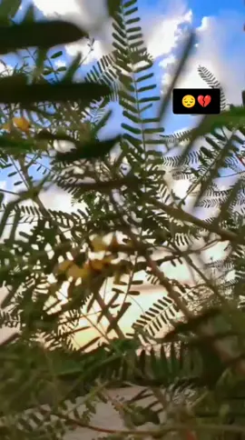 @حسين حيدر(الفهداوي)🩵 