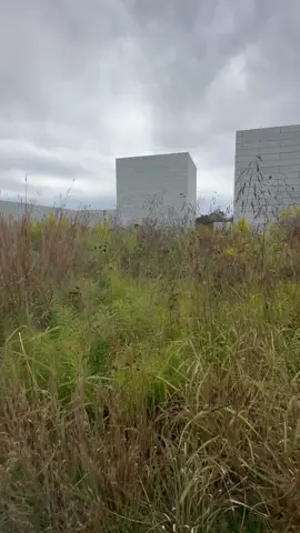 Grasses, grounds, and monoliths at Glenstone  - an experiential art complex near Potomac (Travilah), Maryland - just east of DC.