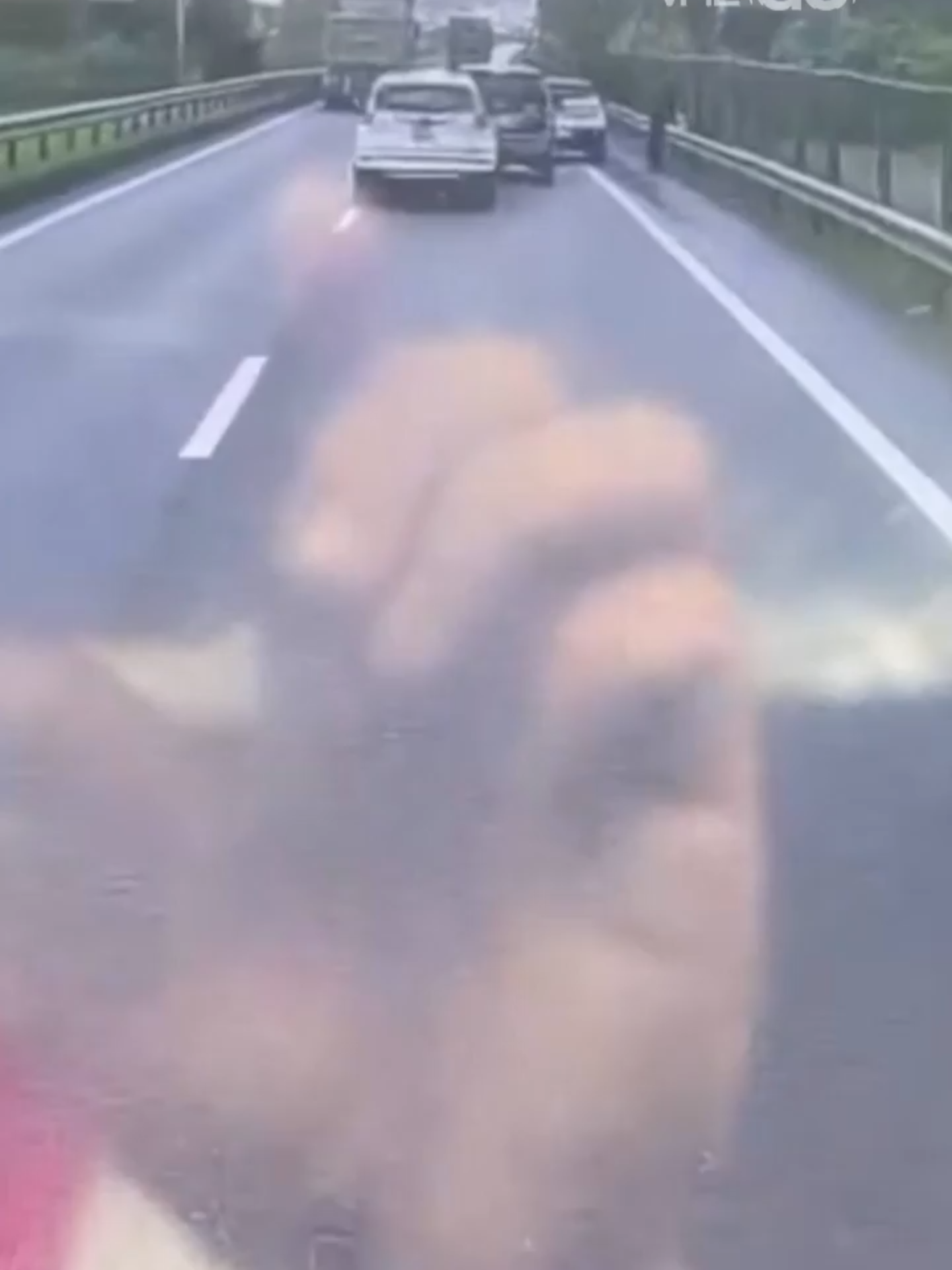 Camera hành trình ghi cảnh hai ôtô phanh gấp tránh xe gặp sự cố trên cao tốc Hà Nội - Thái Nguyên, xe tải phía sau lao tới tông hoàn 4 ôtô. #vnexpress #tiktoknews #vne #giaothong #vnego