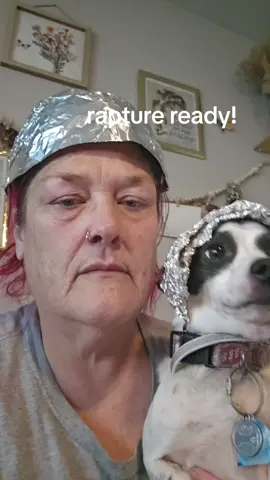 got the dogs all fixed up 😆😆😆 if im staying they definitely are to 😆 #rapture #autism #suicideprevention #genX #MentalHealth 