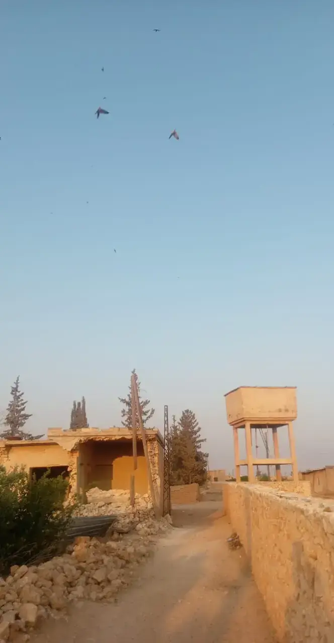 اه من حرب القرابة