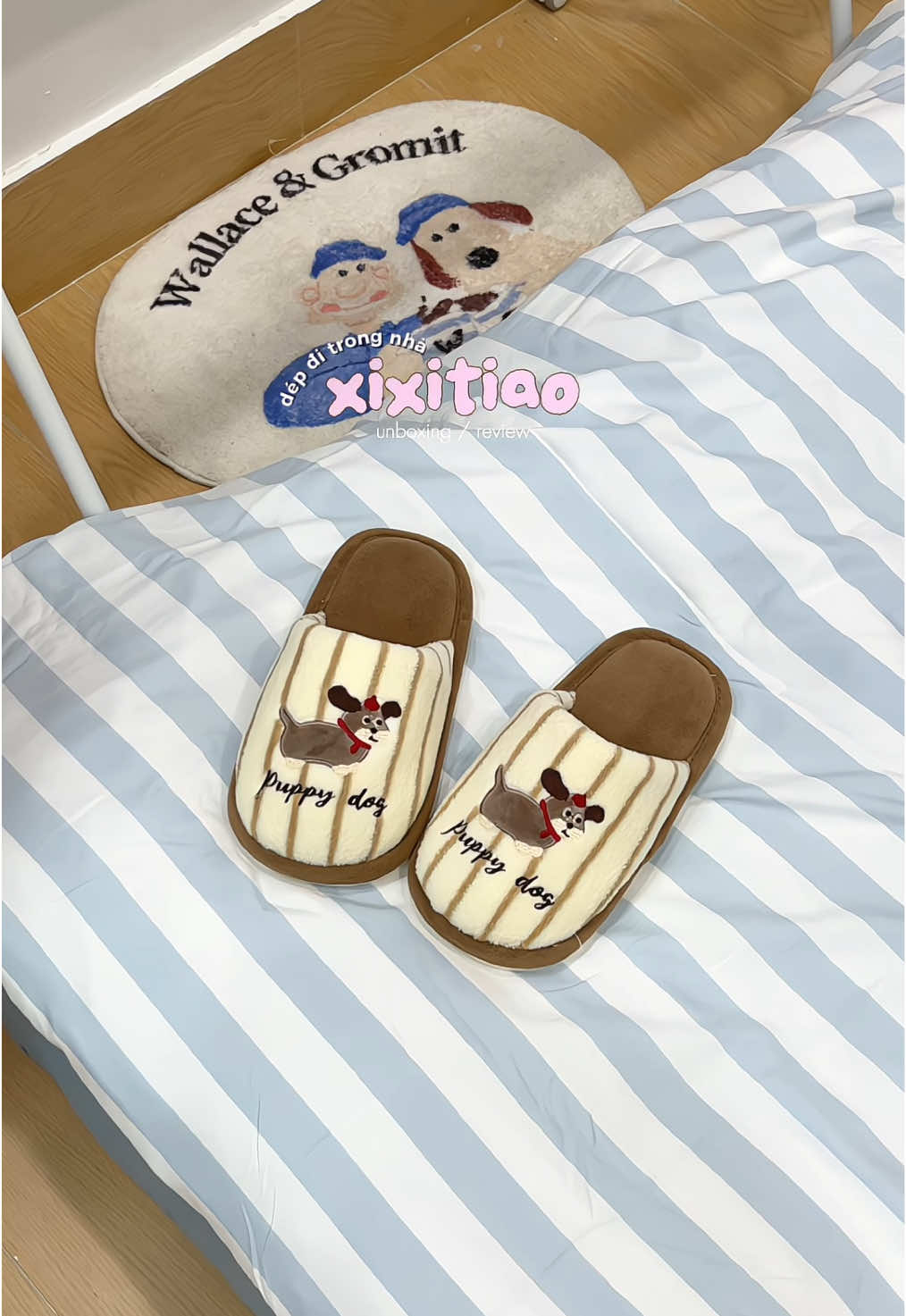 cưng iu quá đi 🐩🗯️🍂#xixitiao #depditrongnha #deplongcute #reviewlamdep #muataitiktok 