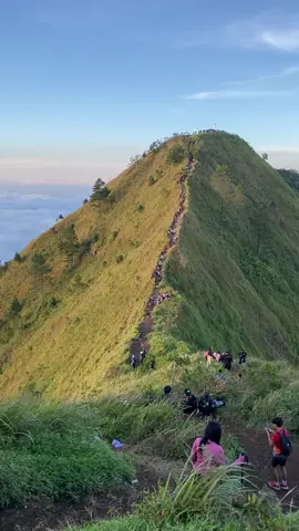 Andong is calling #gunungandong1726mdpl #andongviapendem #andongwithyou #lautanawan 