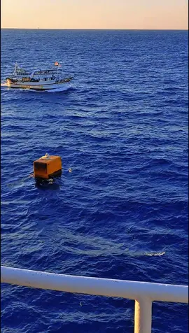 #صلاه_النبي_علي_الحلويات_❤️🧿  ربنا يكفي صحابه شره يارب