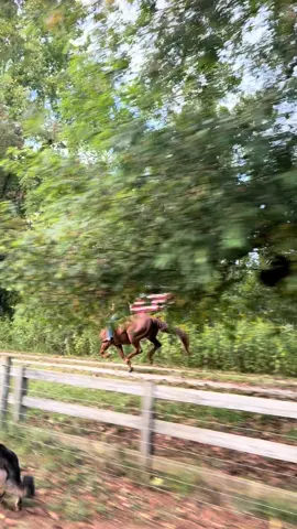 We are the USA 🇺🇸 and proud of it! #redroan #horserunningfullspeed #barebackriding #fyppppppppppppppppppppppp #americaflag #horsecarryingaflag #horsegirl #trump 