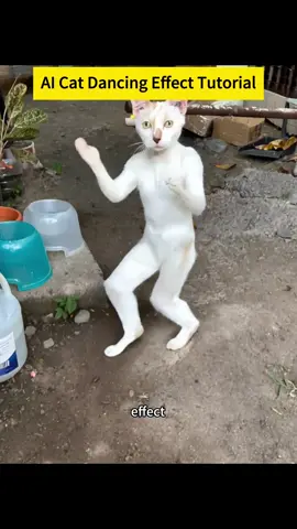 AI Sway Dance Filter Effect Tutorial
 AI cat Sway Dance CapCut Template
 How to Create AI Sway Dancing Filter
 AI Dance Effect Tutorial 🕺
 CapCut AI Sway Dance Movement
 AI cat Dance Animation Effect
 How to Use AI Dance Filter
 Sway Dance AI Filter Trend
 AI Sway Dancing Effect Filter
 CapCut AI cat Sway Dance Guide
 AI Dance Effect for CapCut Users
 How to Make AI Sway Dance Effect
 AI Dance Model Creation Tutorial
 cat AI Dance Filter with CapCut
 AI Sway Dance CapCut Tutorial
 Filter Nhảy AI cat CapCut
 AI cat Sway Dance Effect Trend
 
 #capcutforus #capcut #capcutpioneer #AISwayDanceFilter #AIcatSwayDanceFilter 