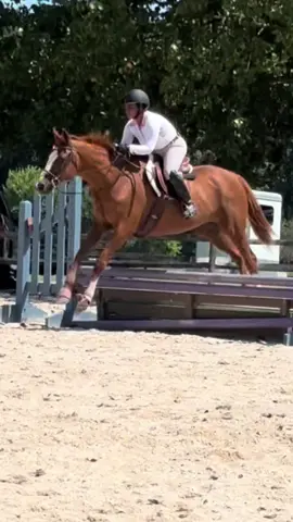 #horses #equestrian #equestrianlife #equestrianstyle #horsebackrider 