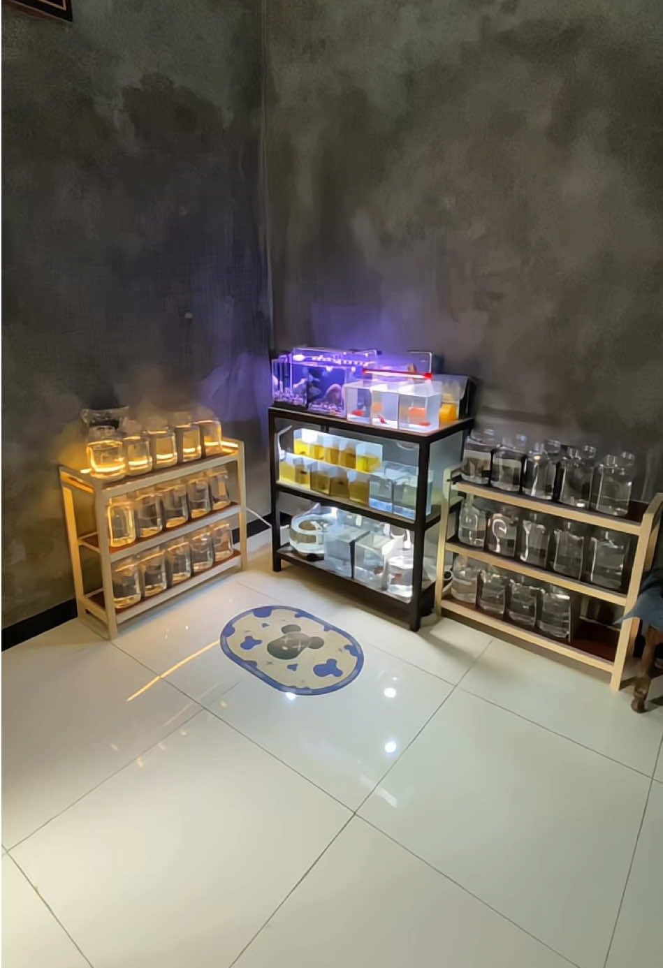 Tempat ternyaman setelah bertemu banyak orang/tempat ternyaman untuk sendiri tanpa orang lain. #promoseruweekend #cupanghiasindonesia #ketenangan #ikancupang #selfreward 