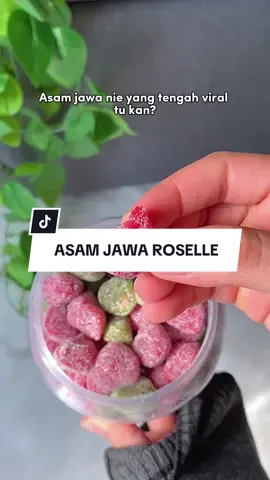 #asamjawa #asamjawaroselle #dewoasam #asamjawarosellegula 