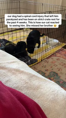 she’s like “why aren’t you playing with me” 😭🥺 