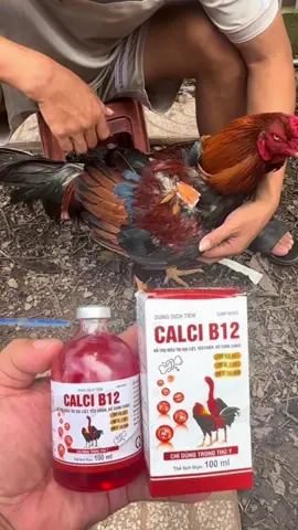 Canxi B12 khắc tinh cho gà té gió, yếu chân, hỗ trợ cho gà chắc xương, dày cốt, mặt đỏ, tăng bo chai 100ml #canxib12 #canxichoga #xuhuong #yeuthuongdongvat #gategio 