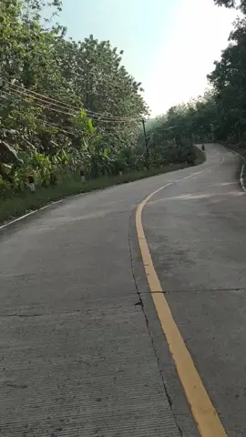 Leuweung lojor Cibaliung #xbcyza #viral #cibaliung #fyp 