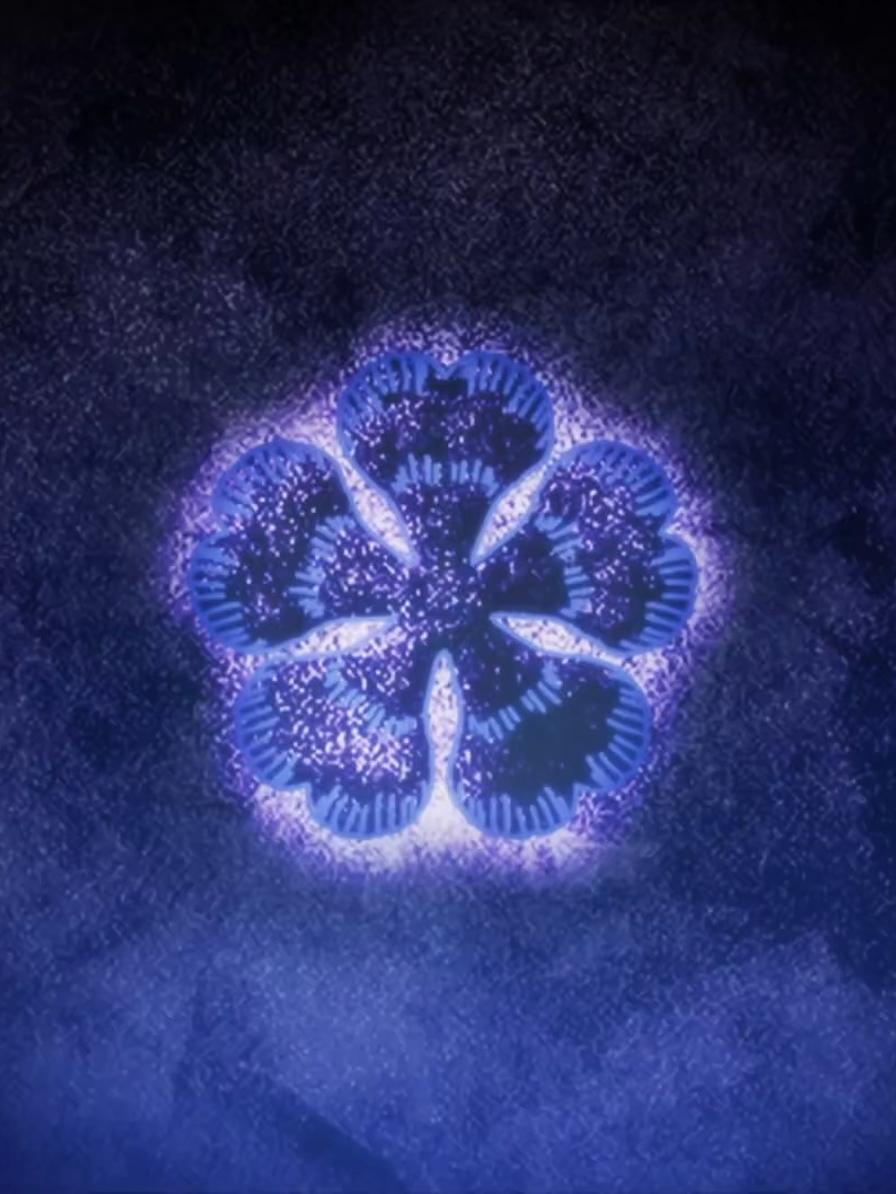 FUTURE WIZARD KING...🔥☠️#anime #animeedit #transition #zyxxon2 #viral #viraledit #winning #pain #snap #blackclover #blackcloveredit #asta #wizardking #isekai #grimoire #devil