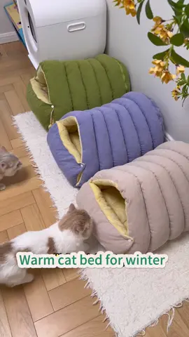 🌟 Snuggle Season Just Got Fluffier! Meet the “Cozy Monster” Cat Bed! 🐾🧸 Wrap your fur baby in cloud-like warmth with this ultra-plush teddy fleece bed – designed to trap heat, cradle curves, and deliver purr-fect naps all year round! ✨ Why It’s a Game-Changer: · Teddy Fleece Magic: Tiny fibers create air pockets that lock in warmth without weight 🌬️🔥 · Goldilocks Comfort: Rated 5.3/10 on the firmness scale – not too soft, not too firm – just right for joint support and pressure relief! 📊 · 360° Nesting Design: High walls make cats feel safe and tucked in (like a furry burrito! 🌯) · Lab-Tested Love: Backed by HipiPets research for optimal sleep science 🧪😴 😻 Pawfect For: • Senior cats with achy joints 🐈👵 • Winter snuggles + summer空调房 naps ❄️🍃 • Anxious kitties who crave security 🛡️ #CozyMonsterBed #TeddyFleeceWarmth #CatNapGoals #PetComfort #HipiPets 👉 Swipe to feel the fluff – and see the science behind the snooze! Tag a cold-nosed cat who needs this upgrade! 🐱💤