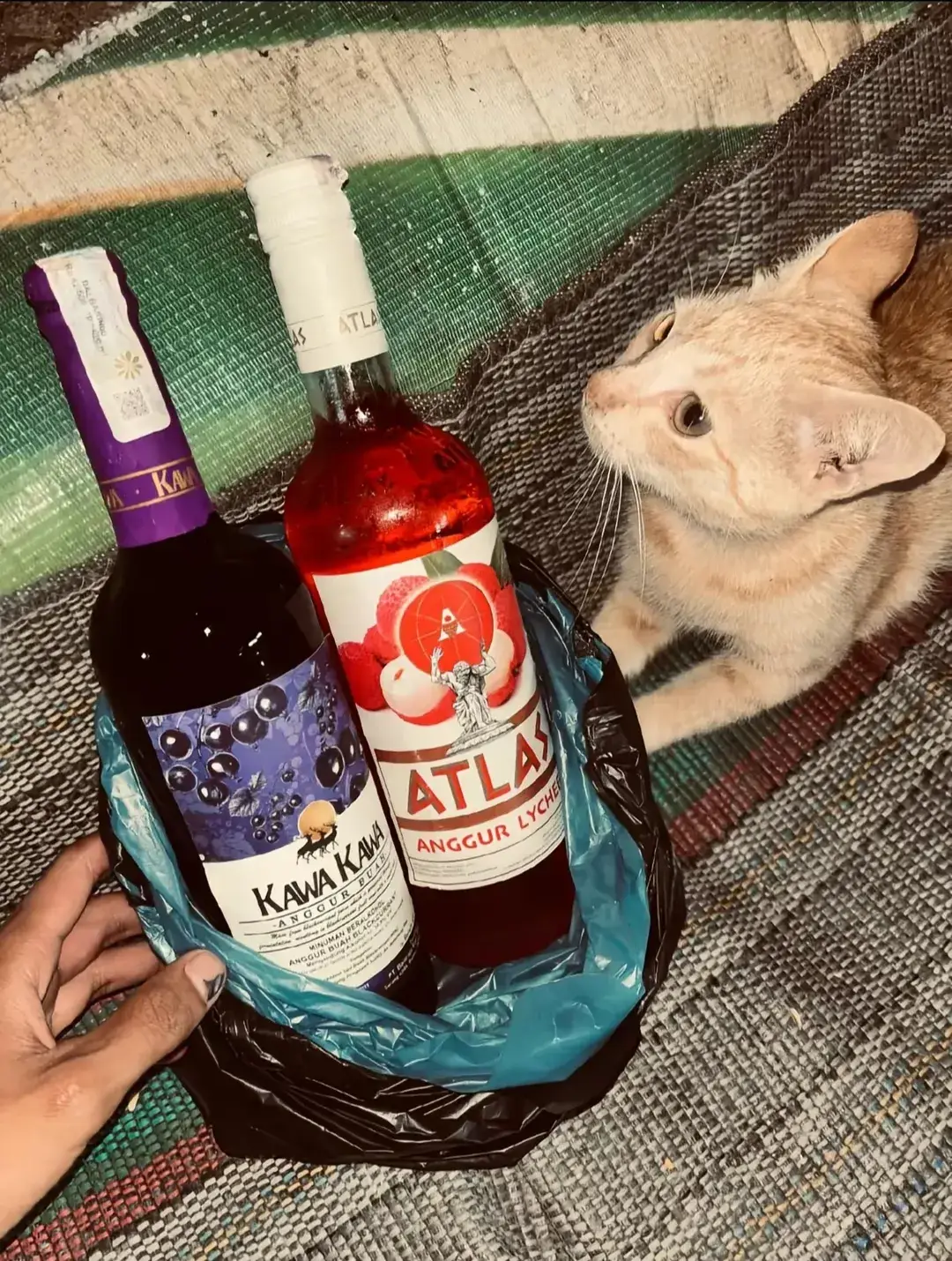 ntah kawa kawa atau atlas, intinya cinta ini tak terbatass❤️💜💚#fyp #trending #nganjuk24jam #pendosa #arak 