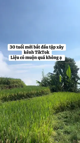 Hành trình xây kênh , mn giúp e 1 fl với ạ #xuhuongtiktok #tapxaykenhtiktok #lua 