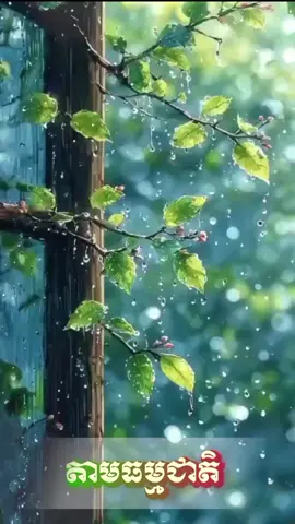 🍀🌺តាមធម្មជាតិ #ព្រះពុទ្ធសាសនា #អប់រំ 
