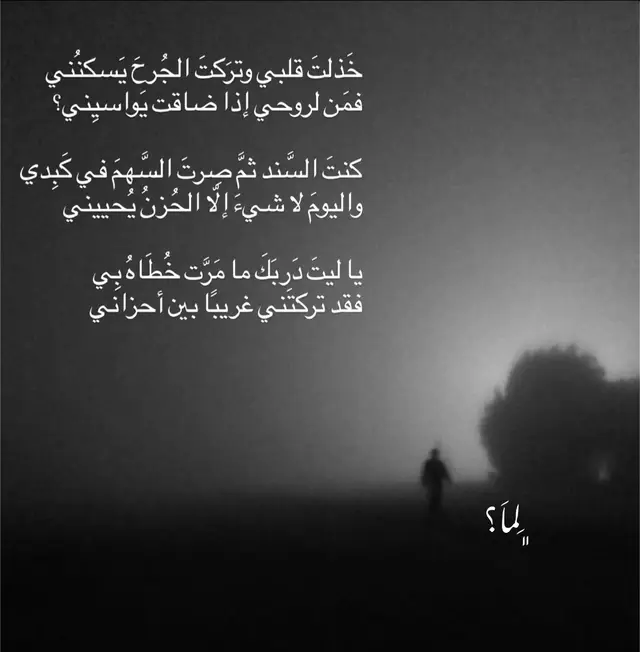 #قصايد #حزن #خذلان #فراق #fyp 