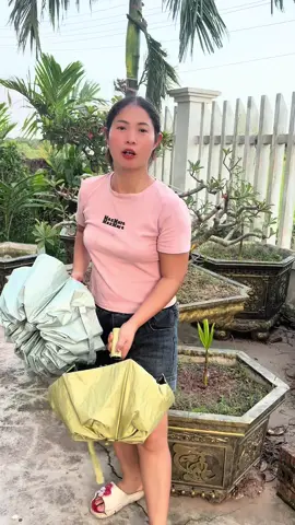 Ô cao cấp đi mưa đi gió gấp gọn#tiktok #xuhuongtiktok #ochenang #ochemua 