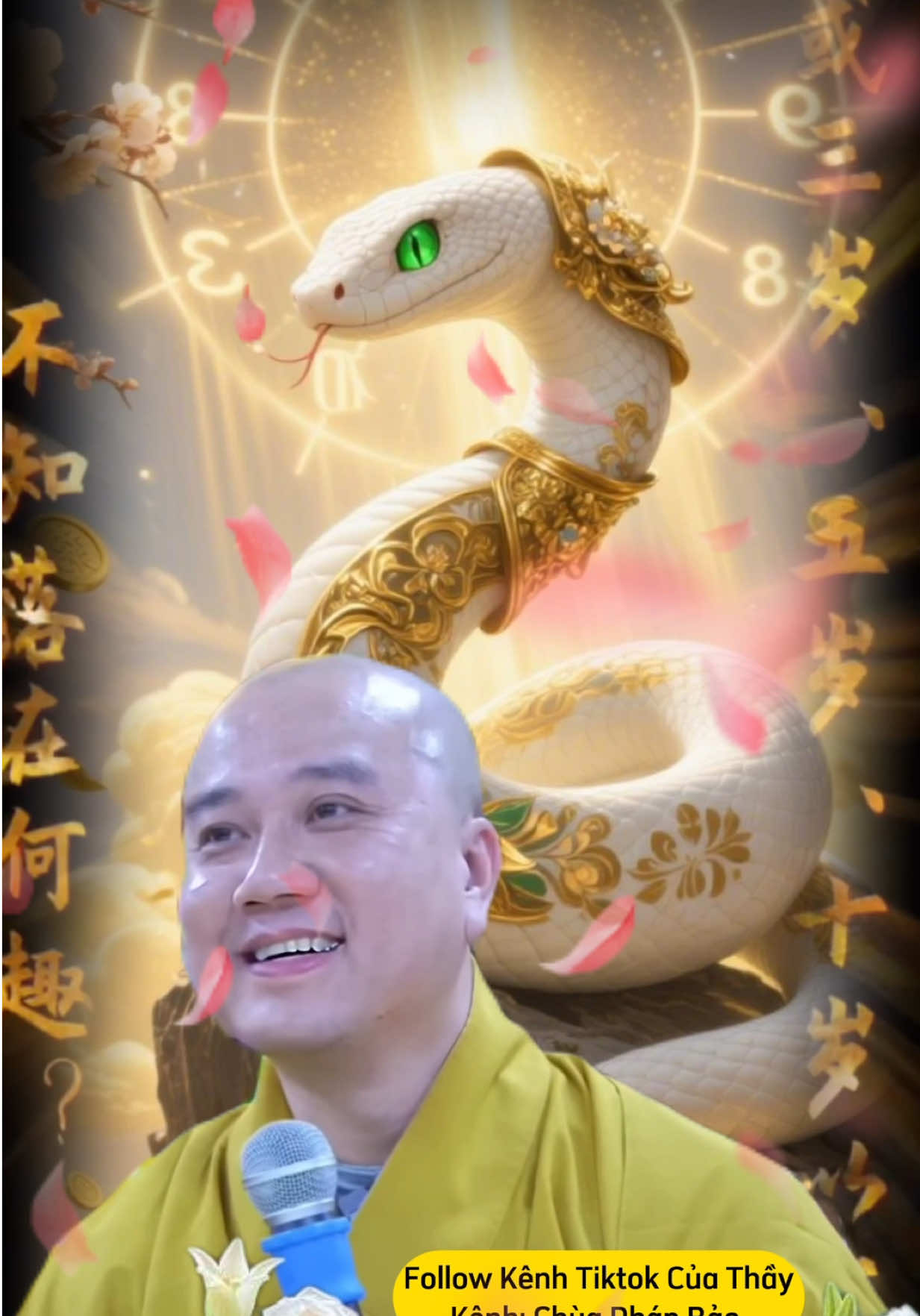 Tại sao tuổi Tỵ cuối năm nay lại giàu lên #tuoity #tuvi #thaythichphaphoa #vongtayphongthuy #vongtaytramhuong108hat 