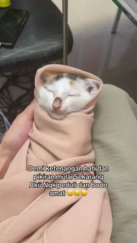 #fypシ 