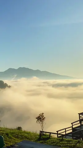 Embun pagi gerbang langit lampung barat📌📍.Footage @_sea_of.stars #gerbanglangit #gerbanglangitlampungbarat #lampungtiktok 