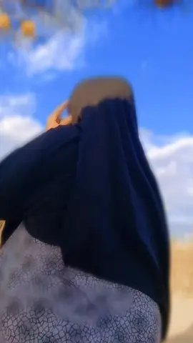 asxbey  videka mel der karsiya@Dakane Ali @AFGABKA NOOL @AARKA__MADOOW🇸🇴 @ALI GORGOR@ 