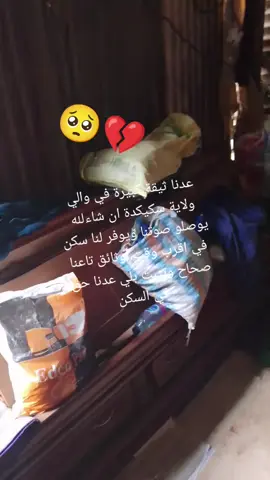 #سكيكدة_الزينة_و_حنا_فيك_تربينا #الجزائر🇩🇿_تونس🇹🇳_المغرب🇲🇦 #وهران_الجزائر_عنابة_سكيكدة_بليدة✨🔥❣️ #الصين_ماله_حل