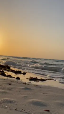 #ابوظبي #العين #دبي🇦🇪 
