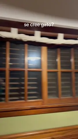 Almendra está un poco rara últimamente.. #parati #comedia 