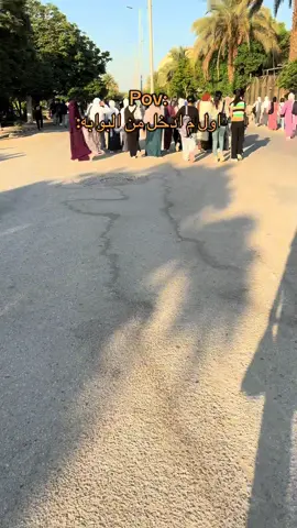 #جامعة_المنيا #جامعات_مصر #fyp 