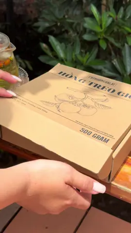 Hồng treo kem mỏng vỏ, mật nhiều, ngọt đậm, món đặc sản siêu ngon của Đà Lạt mùa thu này đó ạ ❤️ #cothuongdalat #muahongdalat2025 #hongtreogio #hongkem #dalat 