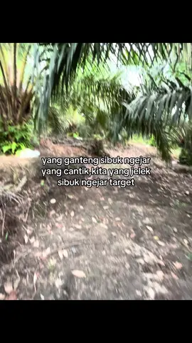 #petanisawit #petanimuda #storysawit #kulisawit #fyp 