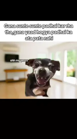 iq level +99 #hammadvlogist #trending #funnymeme #funnymeme 