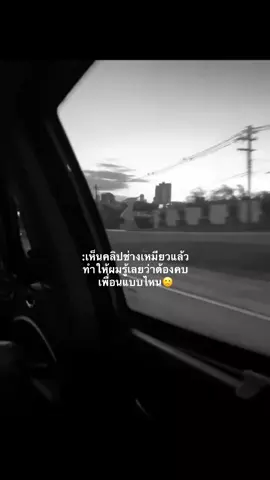 #ฟีดดดシ #ช่างเหมียวนอนน้อย #ดันขึ้นฟีดที #เพื่อน