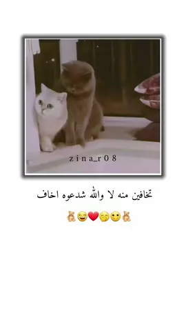 تخافين منه لا شدعوه اخاف  .  .  #تصميم_فيديوهات🎶🎤 #جيش_عنيده_مشاهير_عرب #اعادة_النشر🔃 #شعب_الصيني_ماله_حل😂😂😂 #greenscreen 