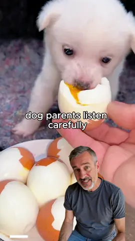 Dog parents listen carefully…😤🐶 #dog #doghealth #collagen #pet #healthydog 