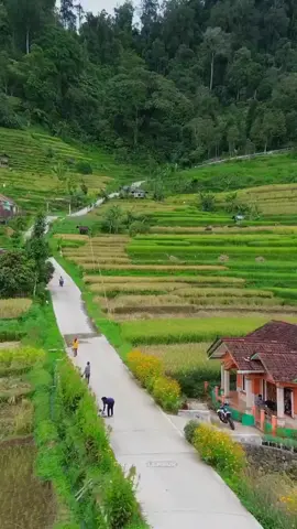 Wilujeng wengi baraya 🙋‍♂️ .  .  #pedesaansunda#bahanswmu  #bismilahrame#pepelingdiri  #tasikmalaya 