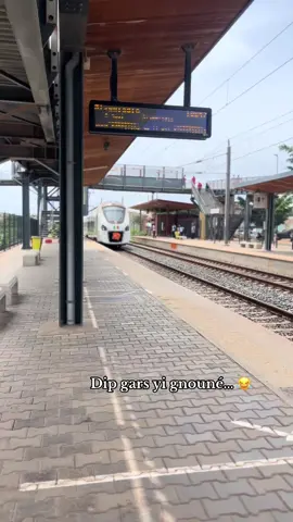 #dipdoundouguiss #rap #TER 