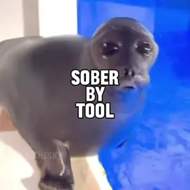 sober by tool seal music video requested by @The_only_finder  i will definitely be doing this song again with my favorite part eventually #seal #sealtok #tool #toolband #sober 