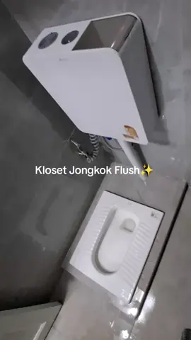 Kloset jongkok flush mr tao #kloset #klosetjongkok #klosetmrtao #mrtao #klosetjongkokflush 