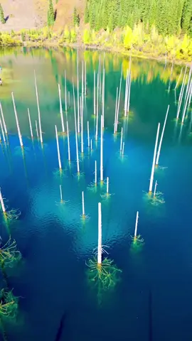 Kaindy lake  #kaindy #tour #mabuhaykazakhstan 