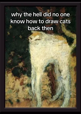 caption #catsoftiktok 