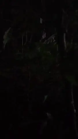 sosok penampakan tertangkap kamera #horor  #kuntilanak  #fyp  #hantu  #seram 