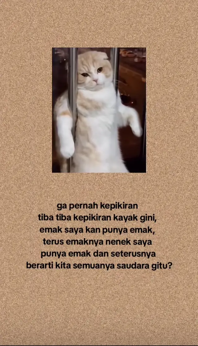 #fypシ #xyzbca #arabicsong #fyp #bismillahfyp 