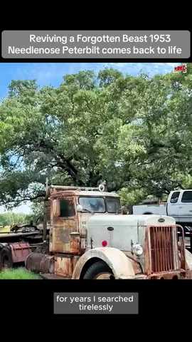 Reviving a Forgotten Beast 1953 Needlenose Peterbilt comes back to life | Part1 #build #kenworth #construction #cars #forgotten 