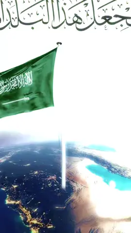 #اليوم_الوطني_السعودي_٩٥ 