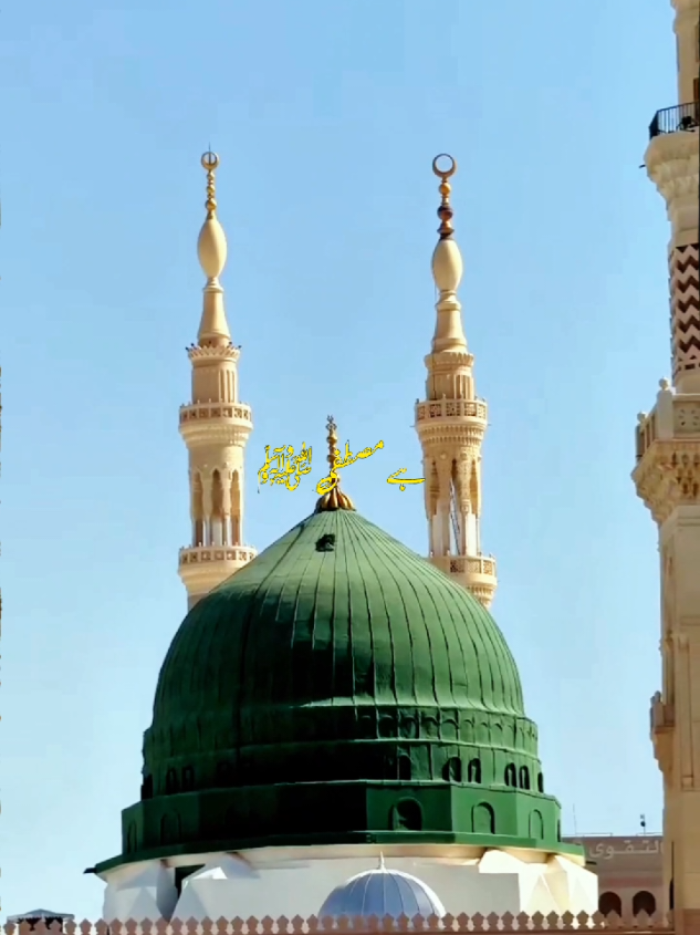 Part 85 | جاں حاضر ہے مصطفیﷺ  کے لیے 💕 #fyp#naat #foryoupage❤️❤️ #naatsharif #viral 