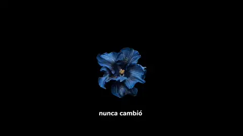 nunca cambió. #faridieck #poema #reflexion 
