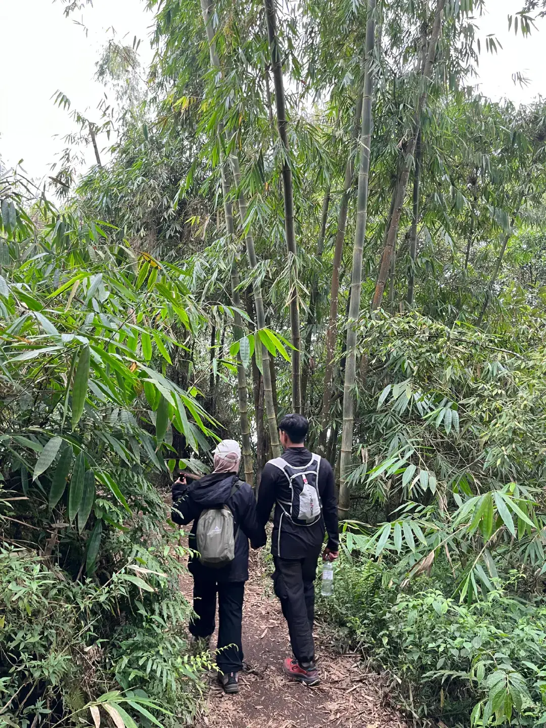 #fypppp #pundak1585mdpl #pendakigunung #pacetmojokerto #fypage 